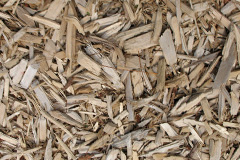 biomass boilers Meerhay